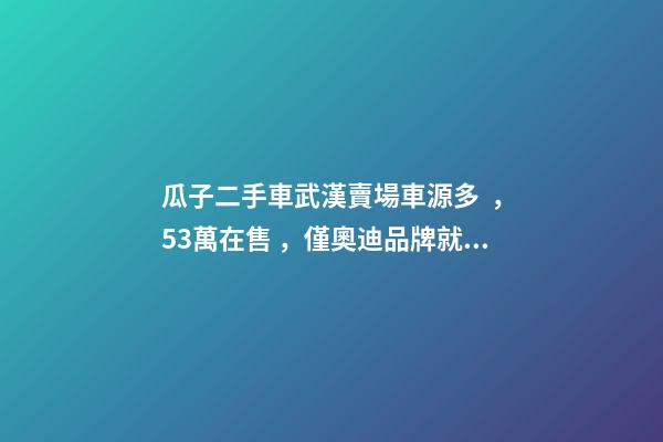 瓜子二手車武漢賣場車源多，5.3萬在售，僅奧迪品牌就有3000多輛